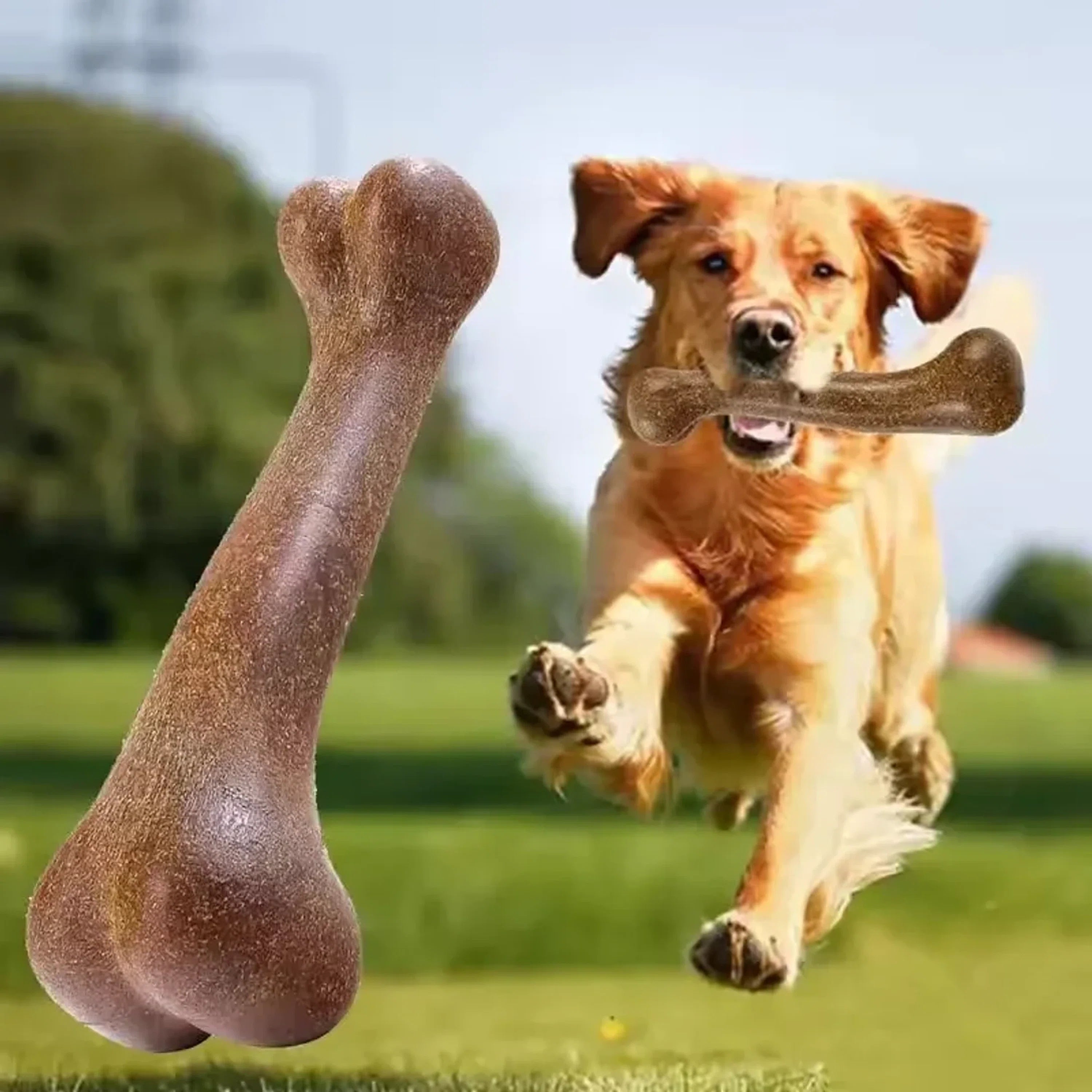 Bone-Shaped Dog Chew Toy for Supervised Play