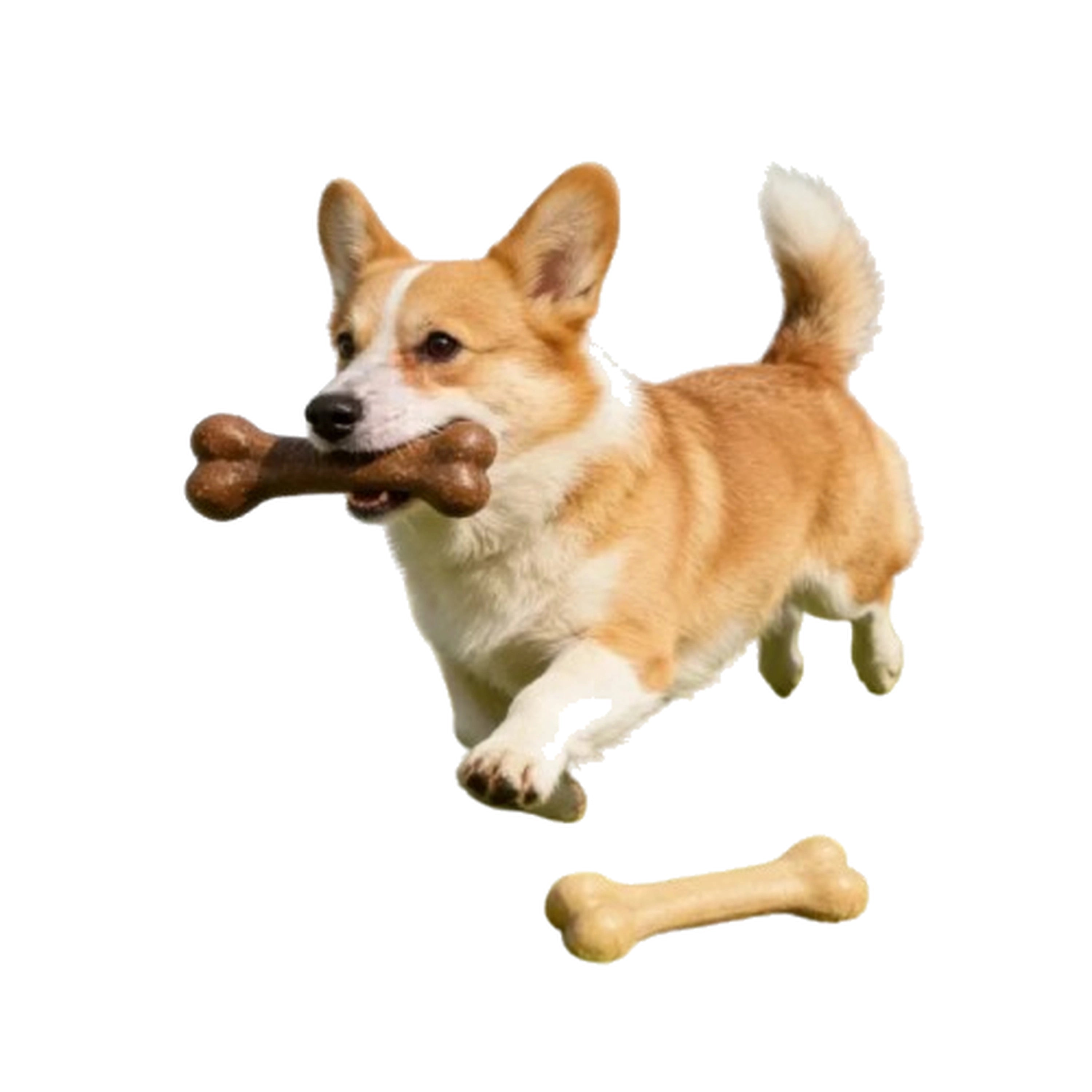 Bone-Shaped Dog Chew Toy for Supervised Play
