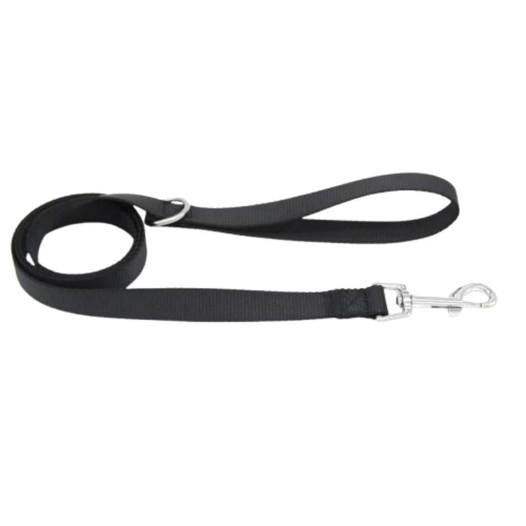 Nylon Dog Leash with Clip and Loop Handle