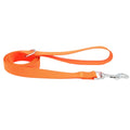 Nylon Dog Leash with Clip and Loop Handle