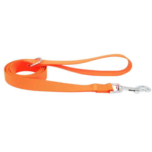 Nylon Dog Leash with Clip and Loop Handle