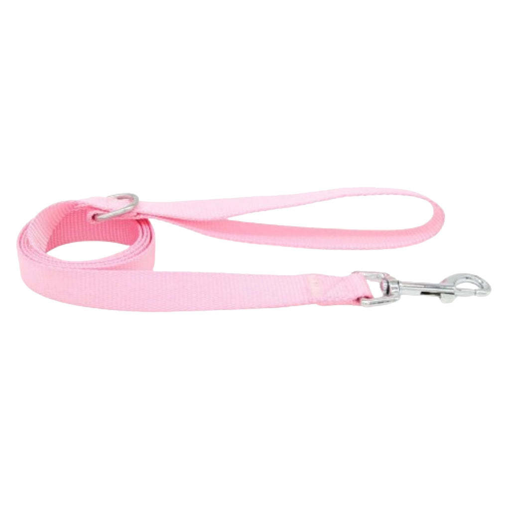 Nylon Dog Leash with Clip and Loop Handle