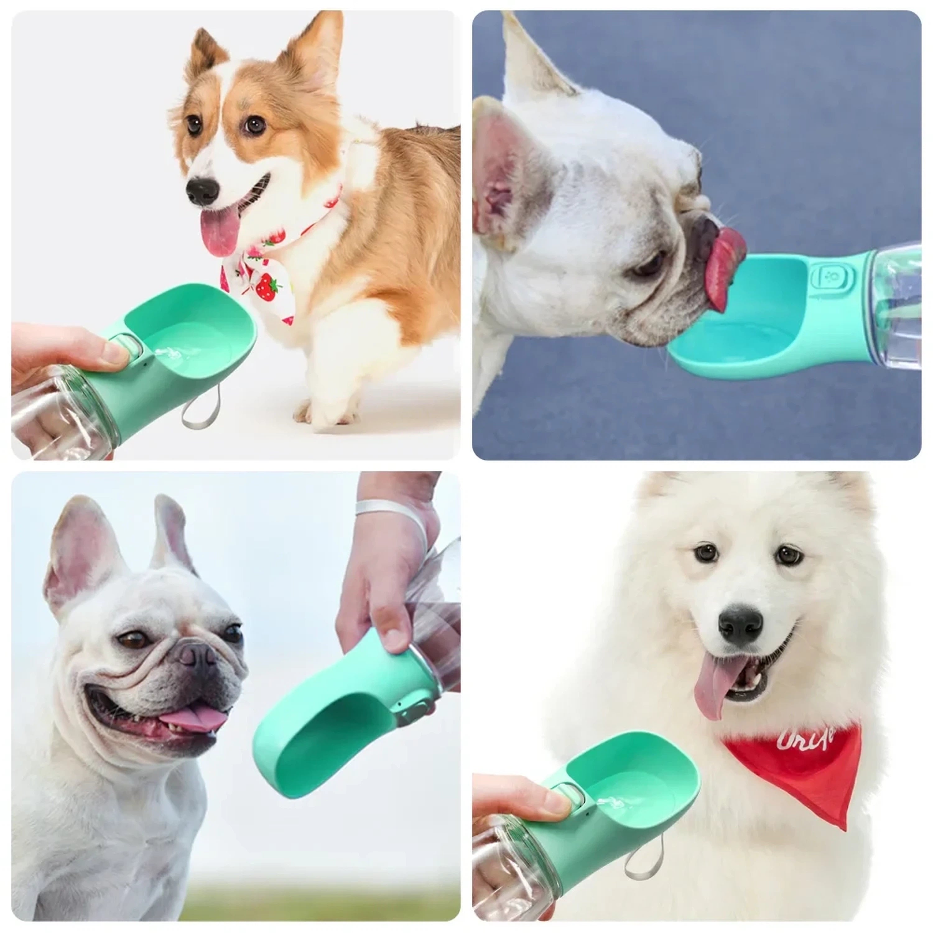 Portable Dog Water Bottle with Built-In Drinking Bowl